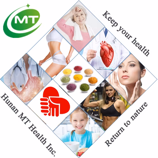 Usine de poudre de fruits de myrtille Poudre de myrtille