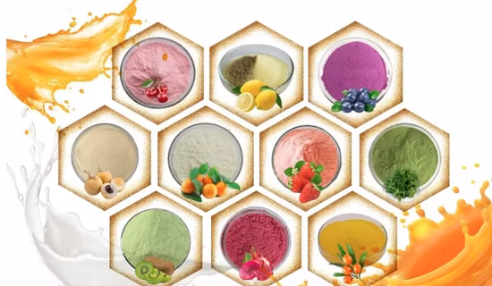 Mélange de poudre de smoothie aux fruits et légumes Tous les fruits du dragon / fraise / poudre de kiwi Poudres de fruits lyophilisés