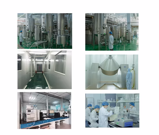 Xi an Sost Biotech Supply Extrait de fruit Poudre d'extrait de pépins de raisin OPC bio